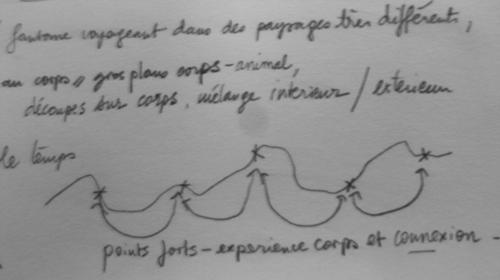 captations