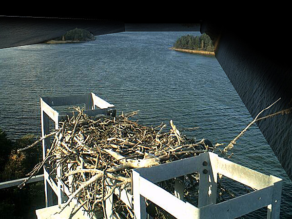 view box