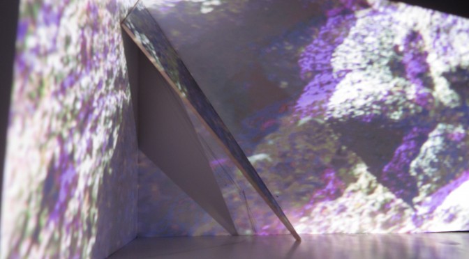 Angle roche
