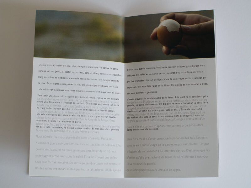 DELTAS - édition – Image 5